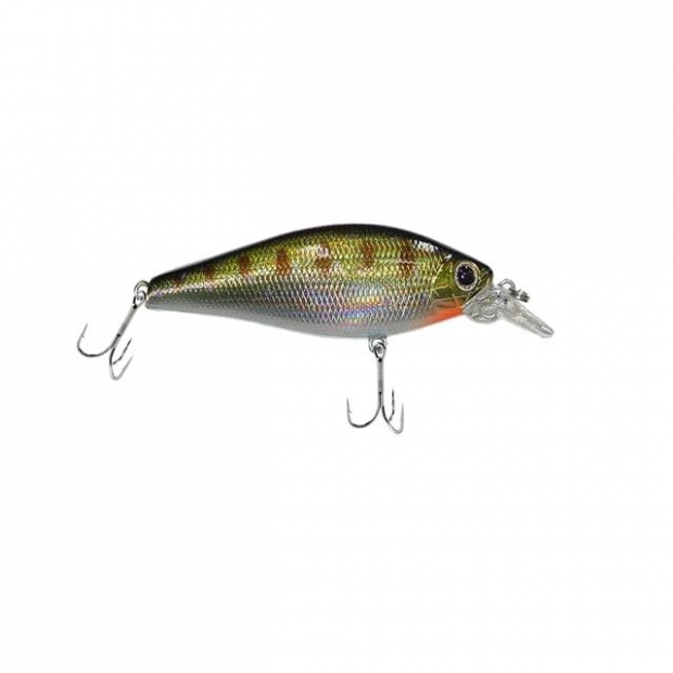 ISCA SHINER KING 70 C34