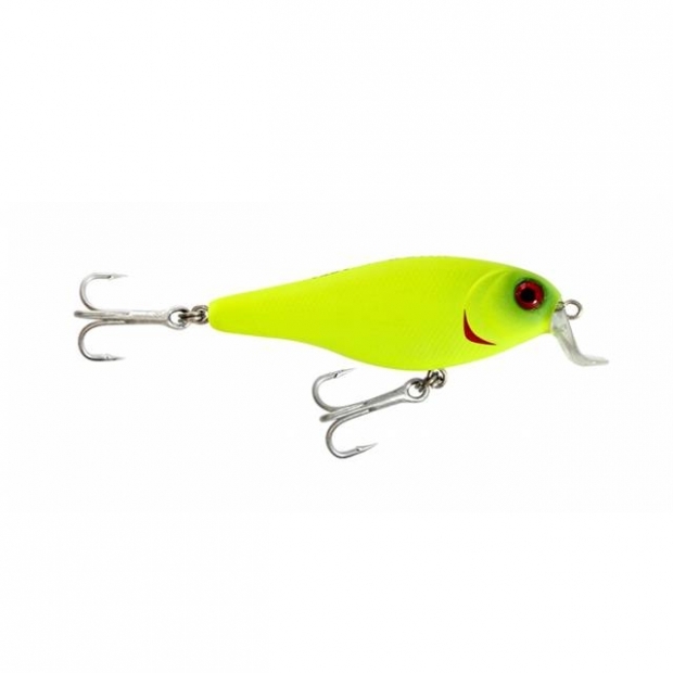 ISCA LORI SHAD 80 COR 24