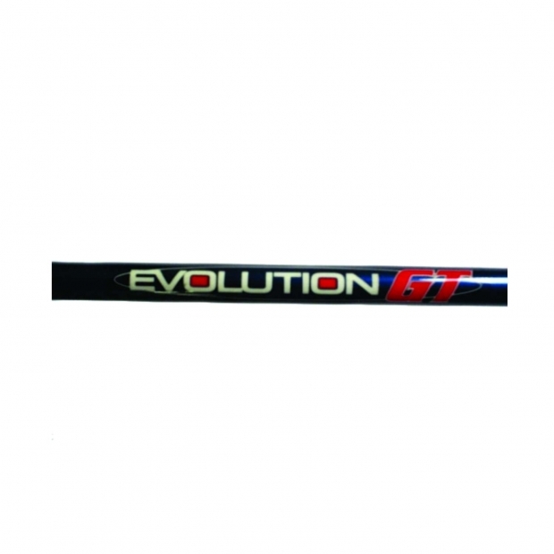 VARA MARINE SPORTS EVOLUTION GT MS-C551H 20-60LBS - CARRETILHA